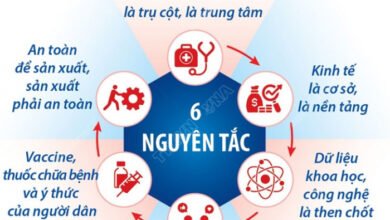 Người từ vùng xanh vào tỉnh Phú Thọ chỉ cần khai báo y tế