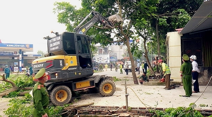 Nhưng hàng nghìn cây xanh bảo vệ lá phổi của người dân 2 bên đường bị đốn hạ không thương tiếc