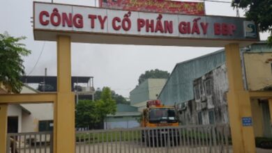 Dư nợ gốc của Công ty CP Giấy BBP với ngân hàng gần 212,6 đồng, dư nợ gốc gần 212,6 tỷ đồng và lãi phạt quá hạn 21,9 tỷ đồng.