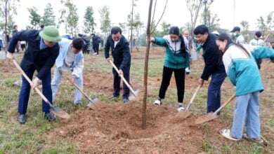 Lãnh đạo tỉnh Phú Thọ và nhân dân tham gia Tết trồng cây tại Khu Di tích lịch sử Đền Hùng.