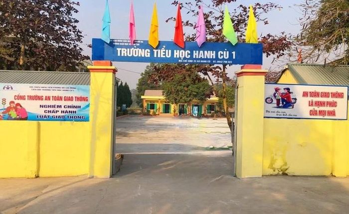 Phú Thọ: Thực hiện TT 29, Trường Tiểu học dừng CLB Toán, tiếng Việt và tiếng Anh